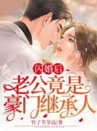 精彩章节《闪婚后，老公竟是豪门继承人》苏念夏陆震霆全文免费阅读