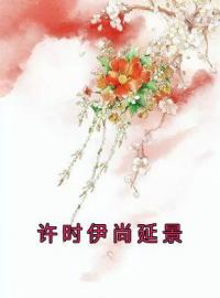 《许时伊尚延景》小说全集免费在线阅读（许时伊尚延景）