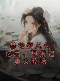 《禁欲霸总失忆后，狠狠追妻火葬场》小说章节精彩试读 叶棠宁傅寒柏小说阅读