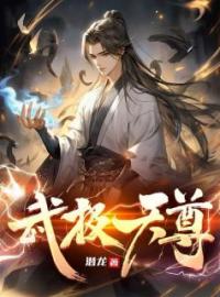 武极天尊全章节免费阅读 主角洛无书白衣卿完结版