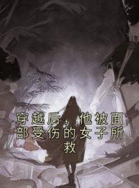 《穿越后，他被面部受伤的女子所救》小说完结版在线阅读 李清玄画芷小说阅读