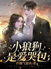 精品热文《小狼狗是爱哭包》白清灵肖沐泽小说全文精彩章节免费试读无删减