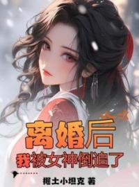 叶天策肖倾城阅读_叶天策肖倾城《离婚后，我被女神倒追了》