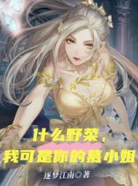 《什么野菜，我可是你的慕小姐》全文及大结局精彩试读 慕云落梁正杰小说