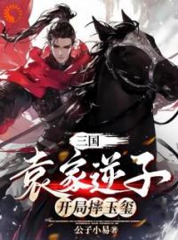 三国：袁家逆子，开局摔玉玺全章节免费阅读 主角袁耀袁术完结版