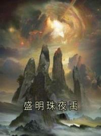 主角是盛明珠夜禹的小说 《盛明珠夜禹》 全文精彩试读