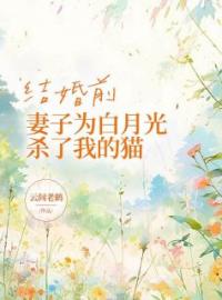 《结婚前，妻子为白月光杀了我的猫》大结局精彩阅读 《结婚前，妻子为白月光杀了我的猫》最新章节目录