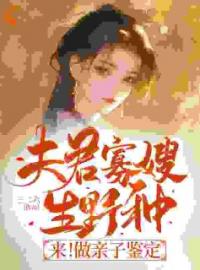 《夫君寡嫂生野种？来！做亲子鉴定》小说大结局免费阅读 慕矜书陆季辞小说阅读