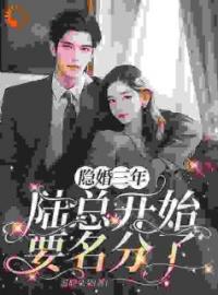 《挽着男伴，我见到了隐婚对象》沈听晚陆逸舟全文免费试读