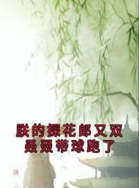 《朕的探花郎又双叒叕带球跑了》(萧策陆则安)小说阅读by听风