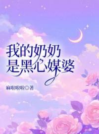 《我的奶奶是黑心媒婆》小说大结局在线试读 李婷老吴小说全文