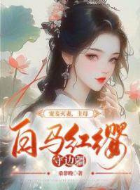 《宠妾灭妻，主母白马红缨守边疆》小说章节列表免费阅读 姜琼月谢南洲小说全文