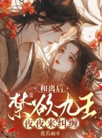 精品小说《和离后，禁欲九王夜夜来纠缠》沈无忧裴行止已完结版全文章节阅读