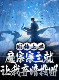 《刚接上单，魔宗宗主就让我弃暗投明》小说全文免费阅读 林墨江寒衣小说阅读