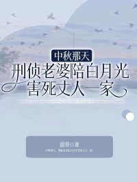 《中秋那天，刑侦老婆陪白月光害死丈人一家》小说章节列表在线试读 傅言陆晚晚宋凛小说阅读