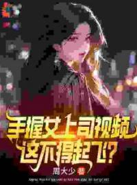 《手握女上司视频，这不得起飞？》小说全文精彩章节在线阅读（叶宏图方敏雅）