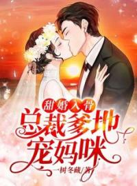 《甜婚入骨：总裁爹地宠妈咪》夏燃盛熠城全部章节目录