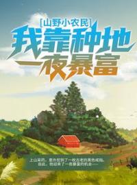 《山野小农民：我靠种地一夜暴富》小说章节目录在线阅读 王大山刘香香小说全文