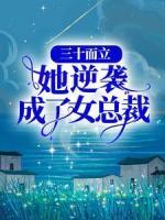 《三十而立：她逆袭成了女总裁》叶真真董一诺小说在线阅读