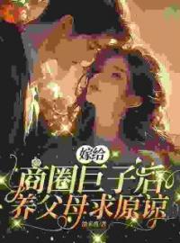 《本想娶花瓶，结果娶了个小祖宗》小说免费阅读 盛心瓷秦凛小说大结局在线阅读